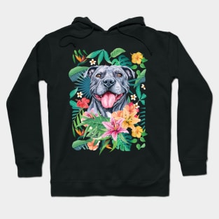 Tropical Gray Pit Bull Pitbull Hoodie